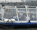 River Bus 