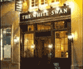 The Swan
